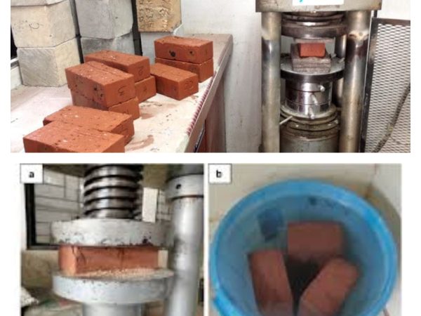 MixCollage-07-Dec-2024-07-08-PM-3571